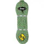 BEAL - Tiger 10 mm - Einfachseil Gr 60 m grün