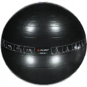 Pure Fitnessbälle Pure2Improve 65cm