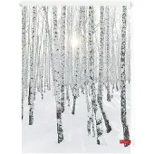 Lichtblick Rollo Klemmfix, ohne Bohren, blickdicht, Birkenwald - Weiß 60 x 150 cm (B x L)