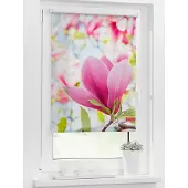 Lichtblick Rollo Klemmfix, ohne Bohren, blickdicht, Magnolie - Rosa 120 x 150 cm (B x L