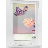 Lichtblick Rollo Klemmfix, ohne Bohren, blickdicht, Schmetterling - 80 x 150 cm (B x L)