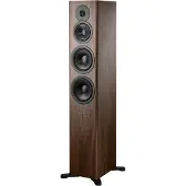 Dynaudio Evoke 50 Lautsprecher Paar *walnuss* DY07576