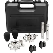 Warm Audio WA-84 Stereo-Paar Nickel