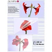 Olympia 1x100 DIN A4 80 micron, Transparent, DIN A4, 100 Stück(e)