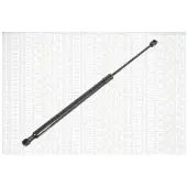 TRISCAN Gasfeder Koffer-/Laderaum Hub 210 mm 455 N für u.a. SKODA FABIA