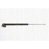 TRISCAN 8710 43212 Gasfeder Heckklappendämpfer für HYUNDAI ATOS (MX) 450mm