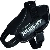JULIUS K-9 14831, Hund, Westengeschirr, Mini/M, Schwarz, Einfarbig, 49 cm