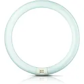 Philips TL-E 40W/840 1CT/12, 40 W, G10Q, C-T9, 3200 lm, Cool white