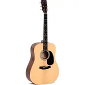 Sigma DM-ST Akustikgitarre natürlich
