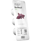 Click&Grow Roter Basilikum