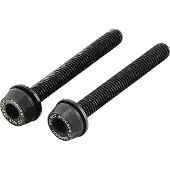 Campagnolo 39 mm Schrauben für die hintere Montage 30 - 34 Mm (x2) (x2)