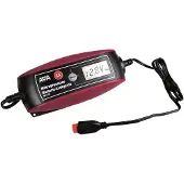 Apa Batterie-Ladegerät 4.000 6V/12V