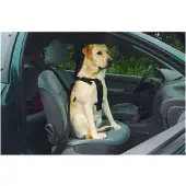 Beeztees Bz Auto Sicherheitsgeschirr Hu