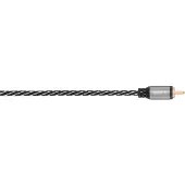 Avinity Cl2
