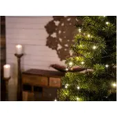 Konstsmide 6342-120 Micro LED Lichterkette, gefrostet, verschweißt, 35 warm weiße Dioden, 30V Innentrafo, dunkelgrünes Kabel