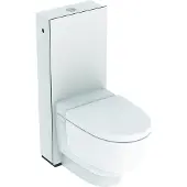 Geberit 146240111 AquaClean Mera Classic