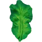Oli&carol Kendall The Kale Beißring