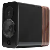 Q-Acoustics Concept 300 Kompaktlautsprecher inkl. Ständer, schwarz / rosenholz