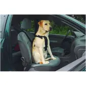 Beeztees Bz Auto Sicherheitsgeschirr Hu