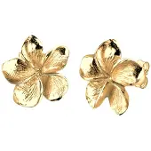 Elli Ohrringe Frangipani Blüte Blume Blüte 925 Silber Elli Gold