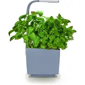 Tregren Gemüsegarten T3 Grau