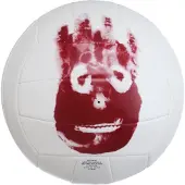Wilson Castaway Volleyballball