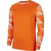 Nike Park IV Torwarttrikot Herren