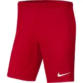 Nike Herren Teamhose Dri-FIT Park 3