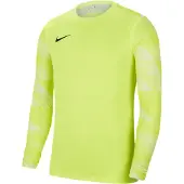 Nike Park IV Torwarttrikot Herren XXL