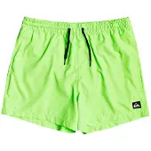 Quiksilver M Everyday Volley 15 Swimshort