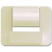 Busch-Jaeger Zentralscheibe für Busch-powerDock 2CKA006400A0068
