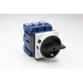 Kraus & Naimer HAUPTSCHALTER 100A 3POLIG (KG100.T103/01.E)