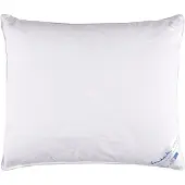 Vandyck Mittelfestes Kopfkissen Kapok, 60?? 70 cm