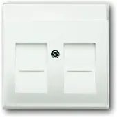 Busch-Jaeger 1710-0-3887, Weiß, konventionell, Jede Marke, 63 mm, 63 mm, 1 Stück(e)