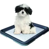 Nobby Doggy Trainer - klein