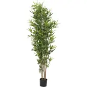 Europalms Bambus Deluxe