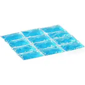 Campingaz Flexi Freez Pack Blau M