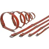 Beeztees BZ LEDERHALSBAND ROT 52X20