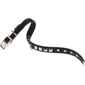 Ferplast Dual 25 Mm 45 Cm Hundehalsband