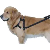 Nobby Top Walk