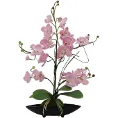 Europalms Orchideen-Arrangement