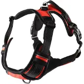Flamingo Geschirr Balou rot, Größe: XL