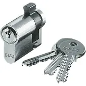 Busch-Jaeger Schalterserien, Euro-Profilzylinder, Silber, 3 Stück(e), 1 Stück(e), 2712/2713/2722/2723/2733 USL-101 2712/2733 SLW-5x