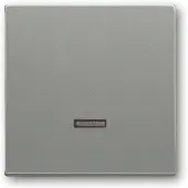 Busch-Jaeger Busch Jaeger 6599-0-2942 Lichtschalter Grau Kunststoff