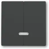 Busch-Jaeger 6545-81 Bedienelement, mit Glimmlampe anthrazit