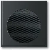 Busch-Jaeger Zentralscheibe 2CKA008200A0128