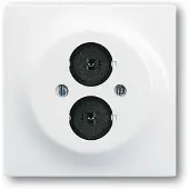 Busch-Jaeger Zentralscheibe mit Tragring 2CKA001753A4971