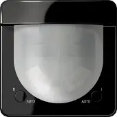 JUNG CD17281SW