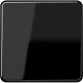 JUNG CD1700SW Steuertaste Standard