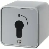 Berker Installationsschalter - 4466